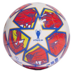 ADIDAS BALON CHAMPIONS 24 IN9332