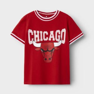 NAME IT CTA CHICAGO 13241711
