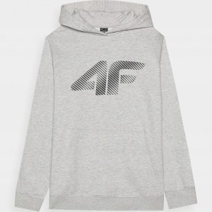 4F 4FWMM00TSWSM1766 SUDADERA GRIS